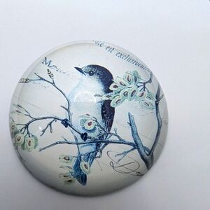 Vintage Dome shaped Glass paperweight. Song bird. 3 inches .